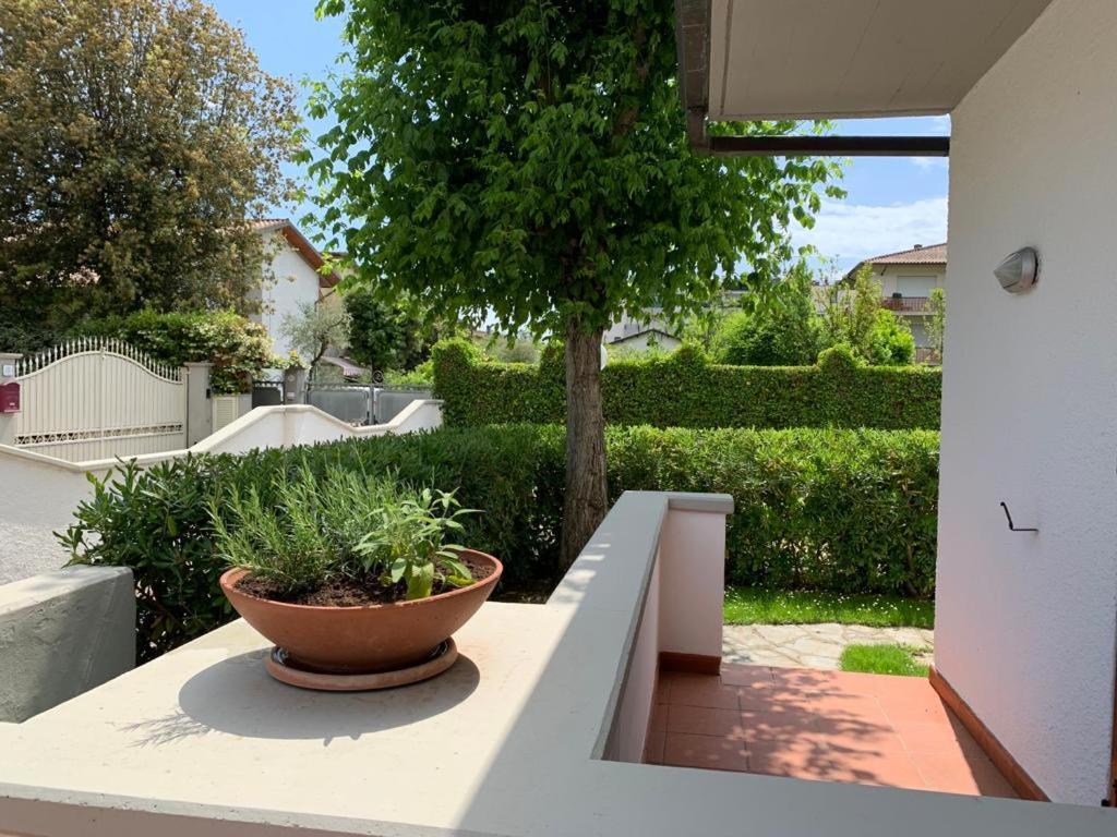 Villetta Cinquale Versilia מראה חיצוני תמונה